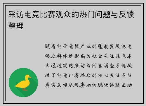 采访电竞比赛观众的热门问题与反馈整理